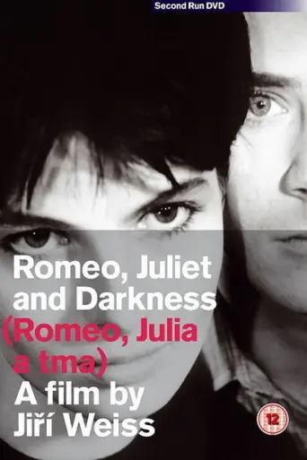Sweet Light in a Dark Room (1960) poster
