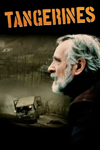 Tangerines (Estonia) (2013) poster