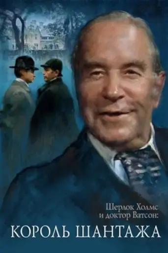 The Adventures of Sherlock Holmes and Dr. Watson (1980) poster