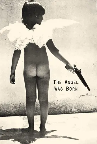The Angel Is Born (1969) poster