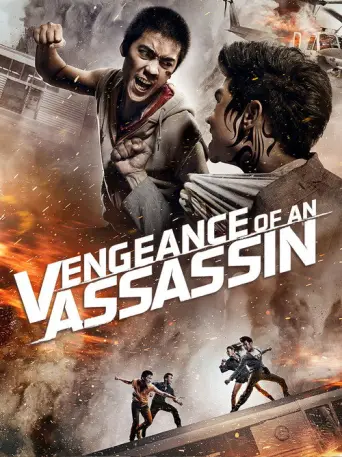 The Assassin (2015)