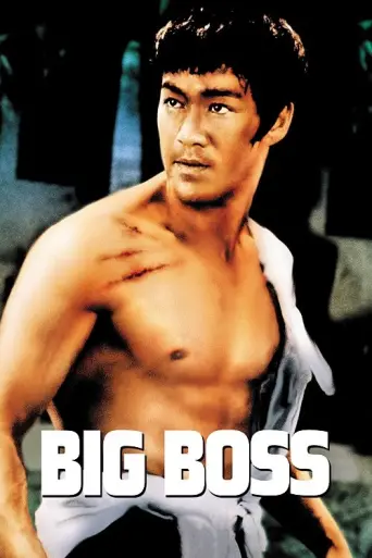 The Big Boss (1971) (1971) poster