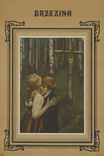 The Birch Wood (1970) poster