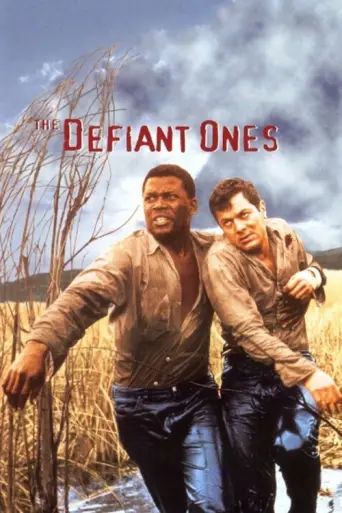 The Defiant Ones (re-pass) (1958) poster