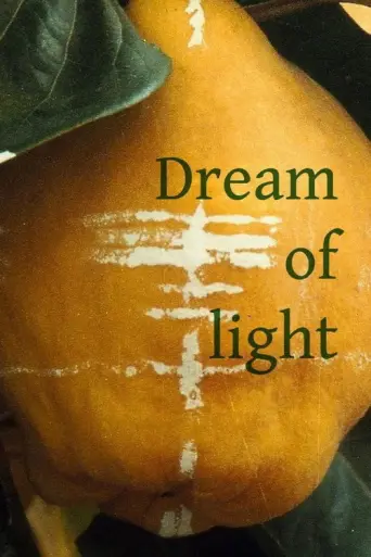 The Dream of Light (1992) poster