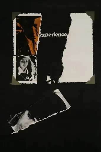 The Experience (1973) poster