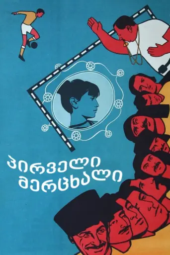 The First Swallow (1975) poster
