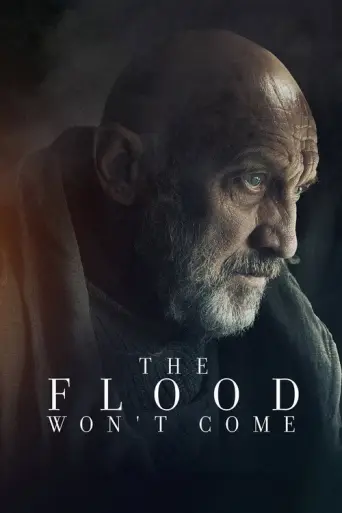 The Flood Won't Come (2020) poster