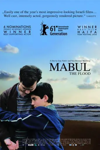 The Flood (2010) poster