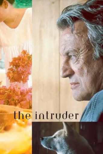 The Intruder (2004) poster