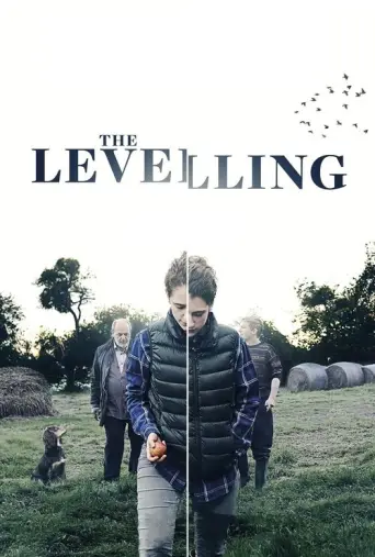 The Levelling (2016) poster