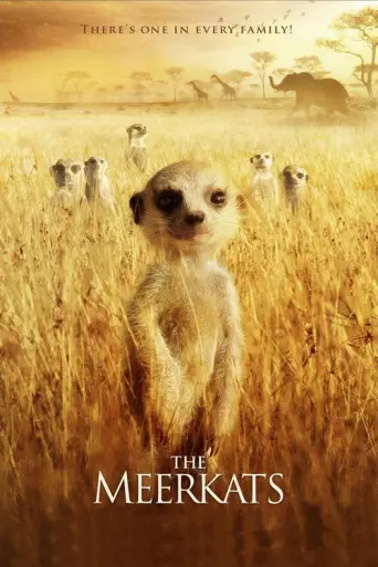The Meerkats (2008) poster