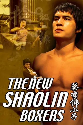 The New Shaolin Boxers (1976) poster