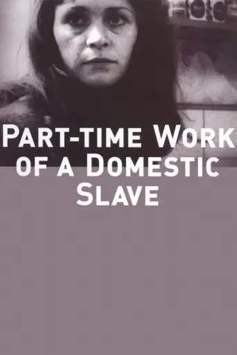 The Part-Time Work of a Domestic Slave (1973) poster