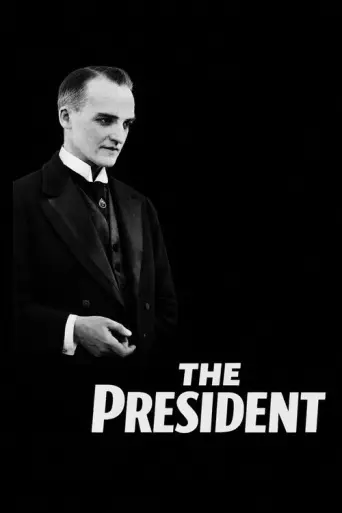 The President (1919) poster