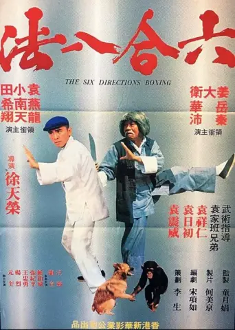 The Six Directions of Boxing (1979) poster