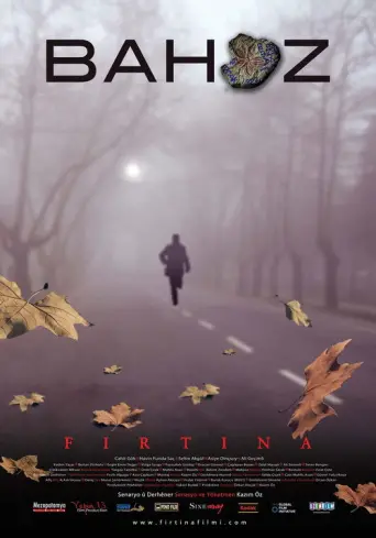 The Storm (2008) poster