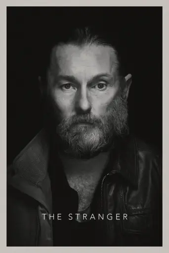 The Stranger (2022) (2022) poster