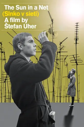The Sun in a Net (1963) poster