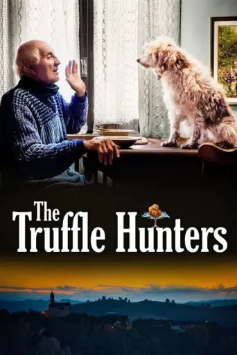 The Truffle Hunters (2020) (2020) poster