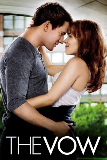 The Vow (2012) (2012) poster