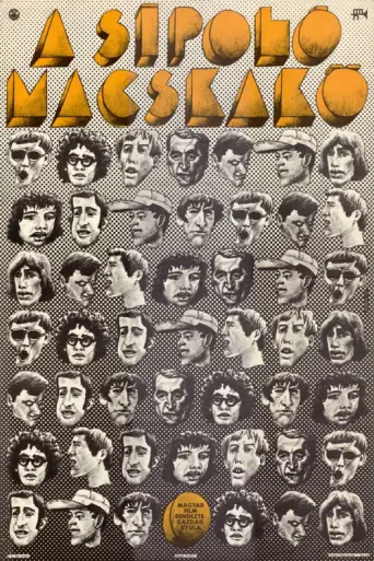 The Whistling Cobblestone (1971) poster
