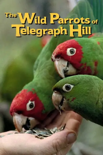 The Wild Parrots of Telegraph Hill (2003) poster