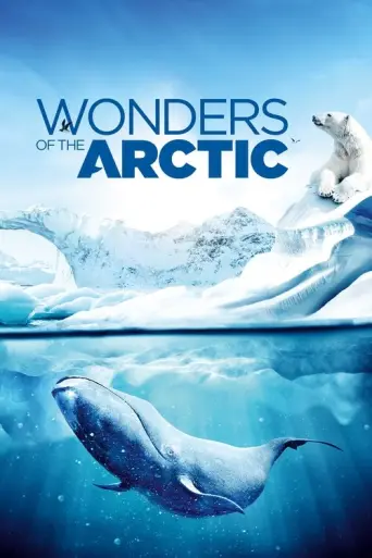 The Wonders (2014) (2014) poster