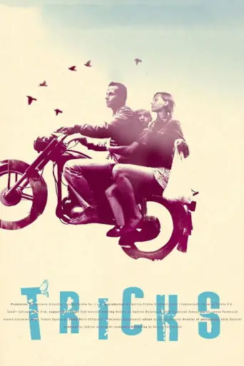 Tricks (2007) poster