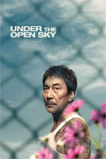Under the Open Sky (2020) poster
