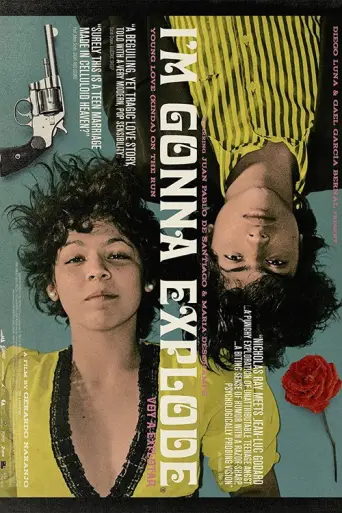 Voy a Explotar (2008) poster