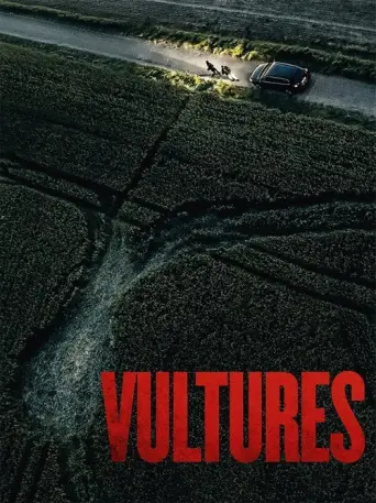 Vultures (2025) poster