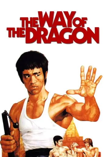 Way of the Dragon (1972) (1972) poster