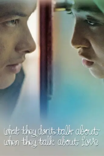 What They Don't Talk About When They Talk About Love (2013) poster