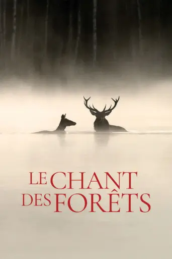 Whispers in the Woods (2025) poster