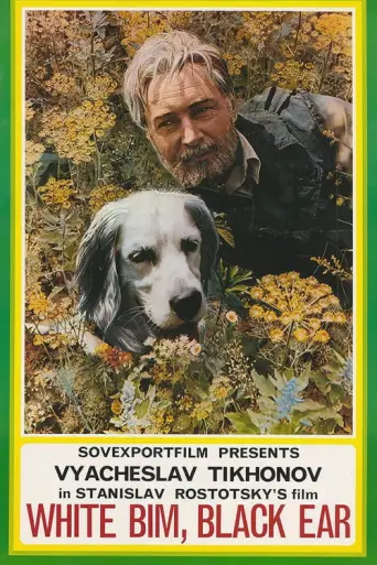 White Bim Black Ear (1977) poster