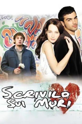 Write It on the Walls (2007) poster